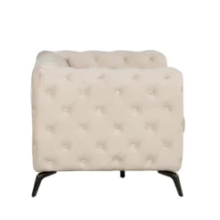Modern Velvet Upholstered Accent Sofa Chair With Button Tufted Back-ModernLuxe -Living Space Shop GUEST b880cf9c 44e4 411f 919d 40616bf30376